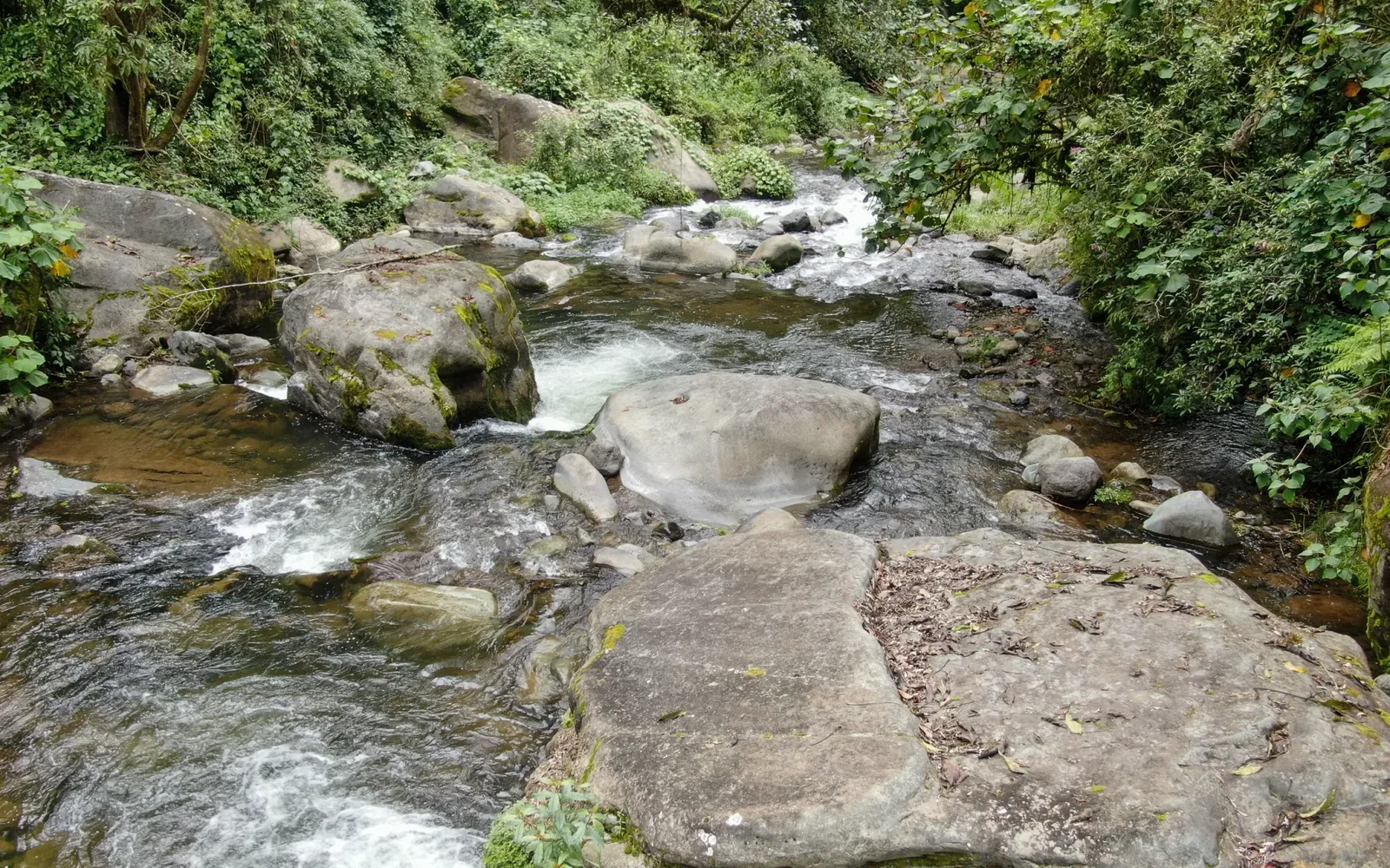Rainforest waterways and wildlife channels in Tortuguero National Park, Costa Rica